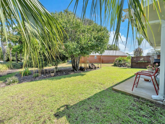 view of yard featuring a patio area