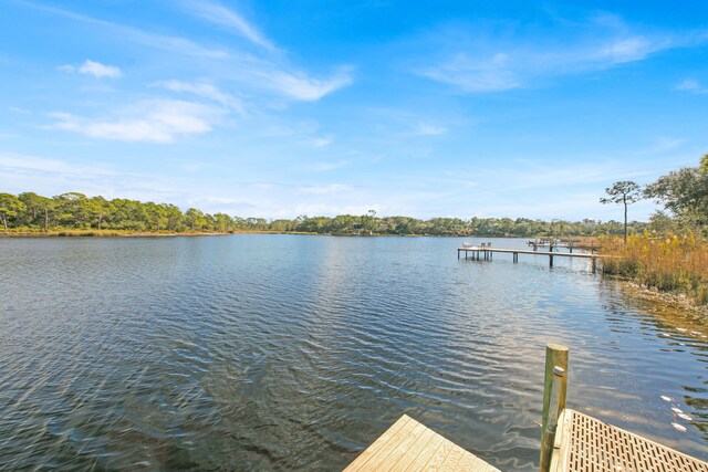 dock area with a water view