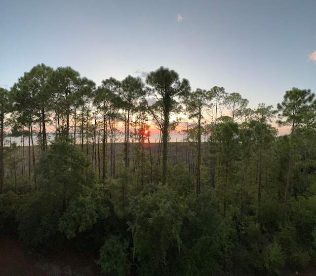 view of nature at dusk