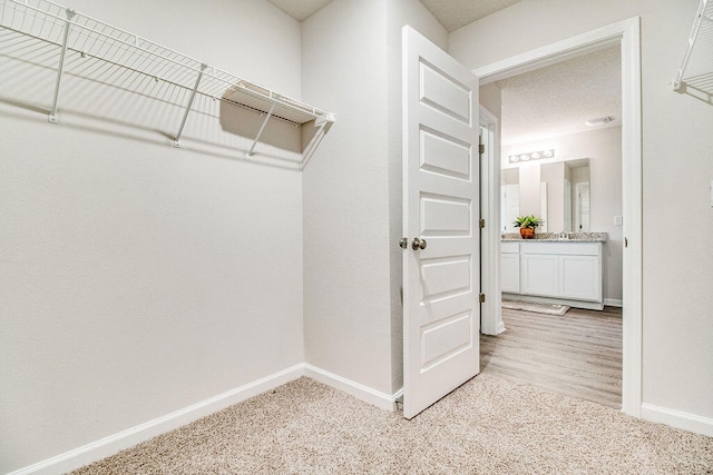 walk in closet featuring wood finished floors