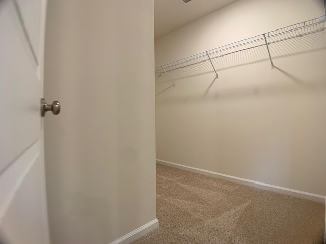 walk in closet featuring carpet flooring