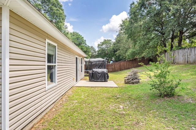 view of yard featuring a patio area