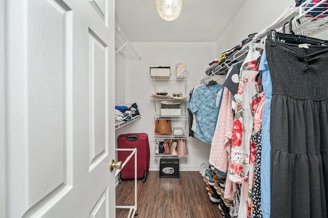 spacious closet with dark hardwood / wood-style flooring