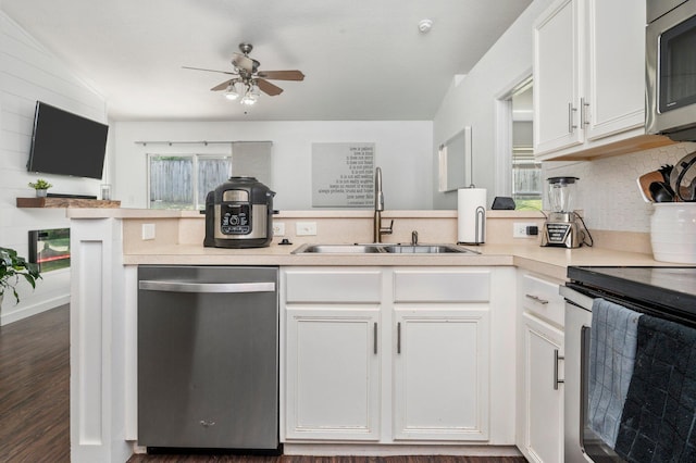 kitchen with ceiling fan, dark wood-type flooring, a wealth of natural light, sink, and stainless steel appliances