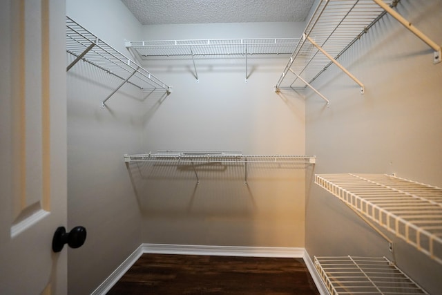 walk in closet featuring hardwood / wood-style floors