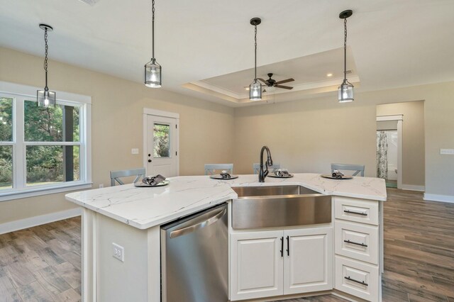 kitchen featuring a tray ceiling, sink, stainless steel dishwasher, and wood-type flooring