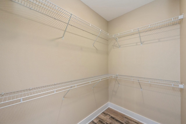 walk in closet featuring wood-type flooring