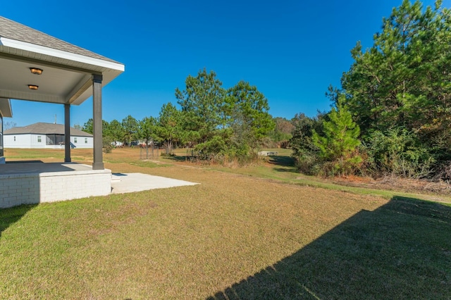 view of yard featuring a patio