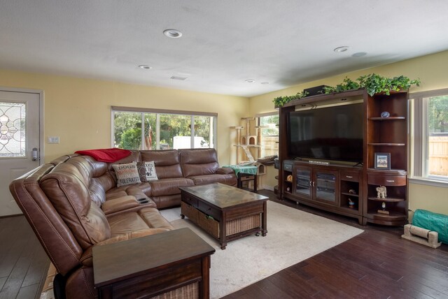 living room with wood-type flooring