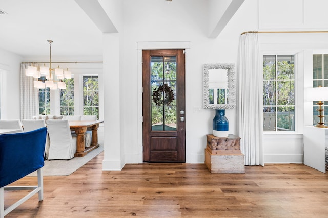 entrance foyer with light wood-type flooring and a wealth of natural light