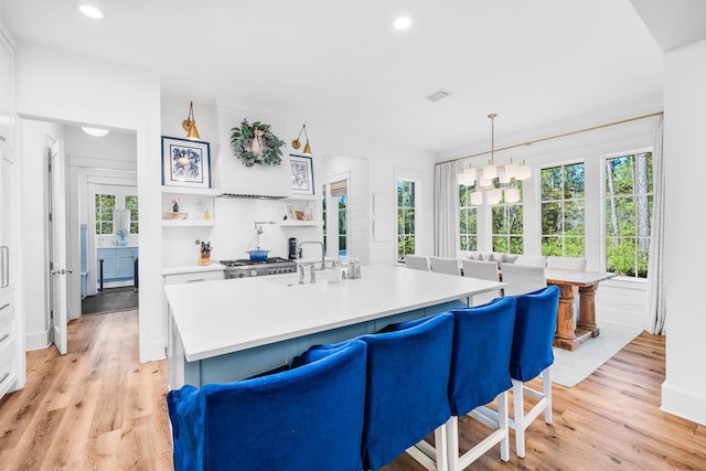 kitchen featuring a wealth of natural light, light hardwood / wood-style floors, and an island with sink