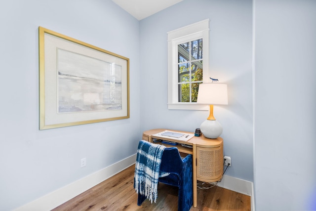 office with wood-type flooring