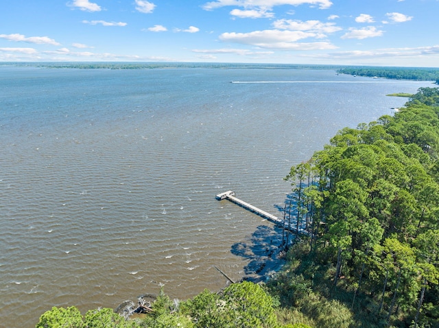 view of water feature