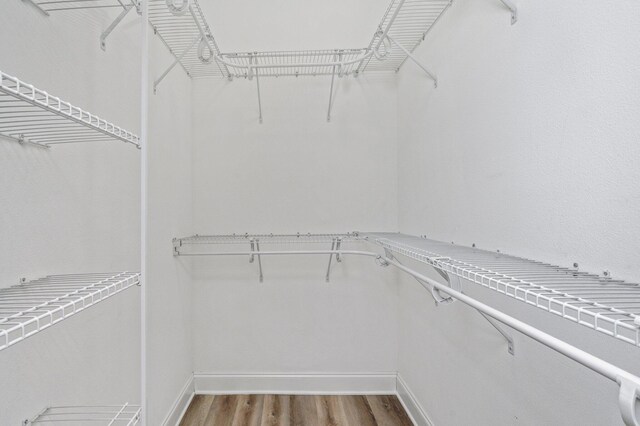 spacious closet featuring hardwood / wood-style flooring and radiator