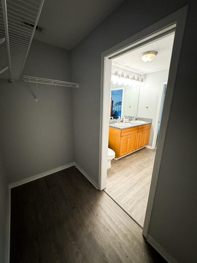 spacious closet with sink and wood-type flooring