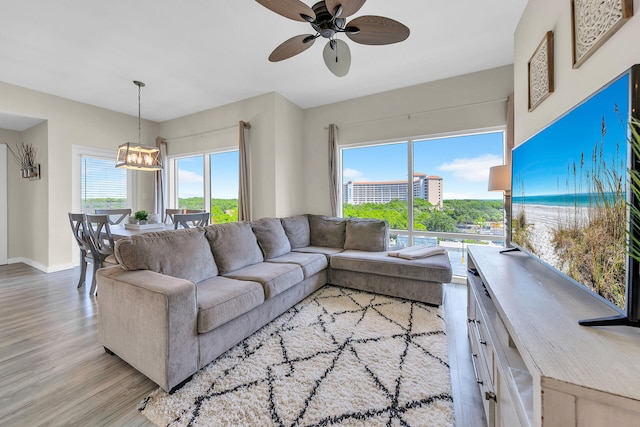 living room with ceiling fan and light hardwood / wood-style flooring