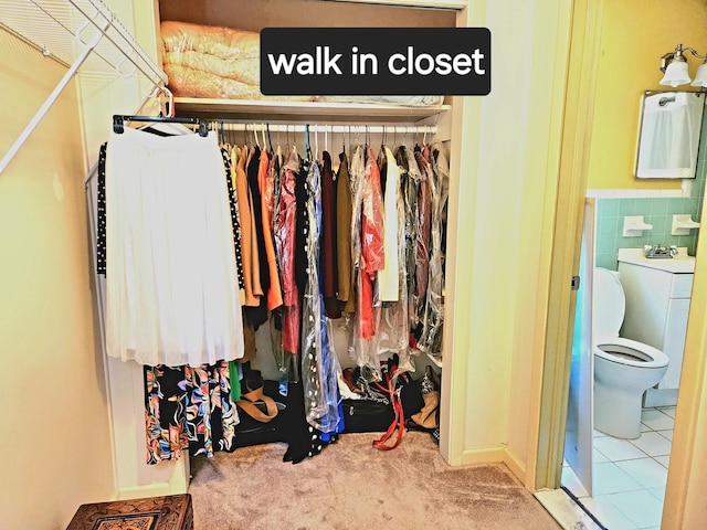 view of closet