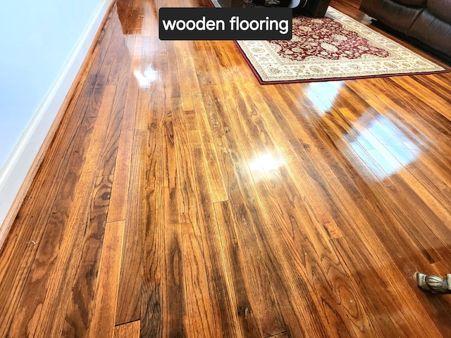 room details featuring wood-type flooring