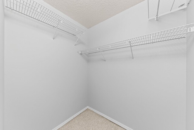 walk in closet featuring light colored carpet