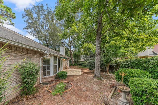 view of yard featuring a patio area