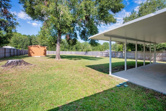 view of yard with a shed and a patio