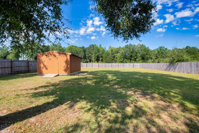 view of yard with a storage shed