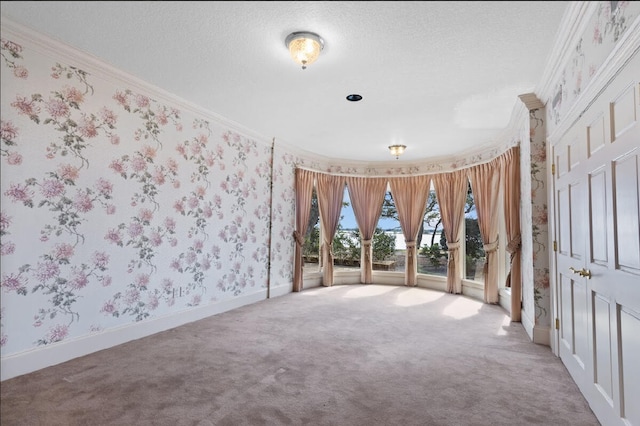 spare room featuring ornamental molding, a textured ceiling, and carpet floors