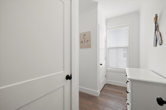 bathroom featuring ornamental molding and hardwood / wood-style floors