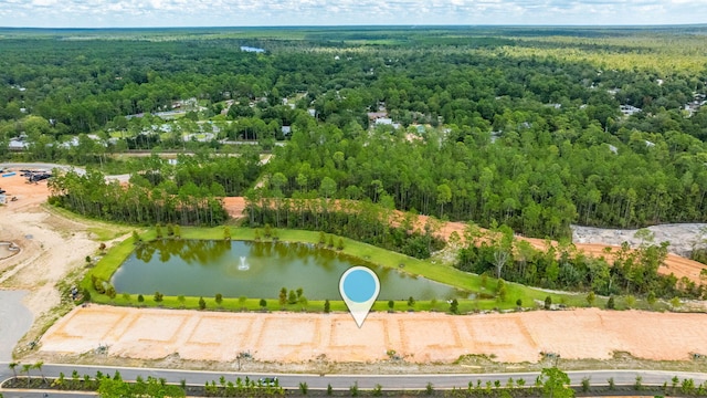 bird's eye view with a view of trees and a water view