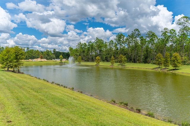 view of water feature