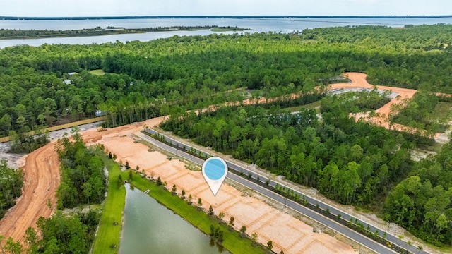 aerial view with a view of trees and a water view