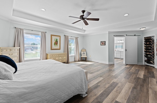 bedroom with multiple windows, a barn door, and a raised ceiling