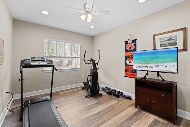 workout area with ceiling fan and light hardwood / wood-style flooring