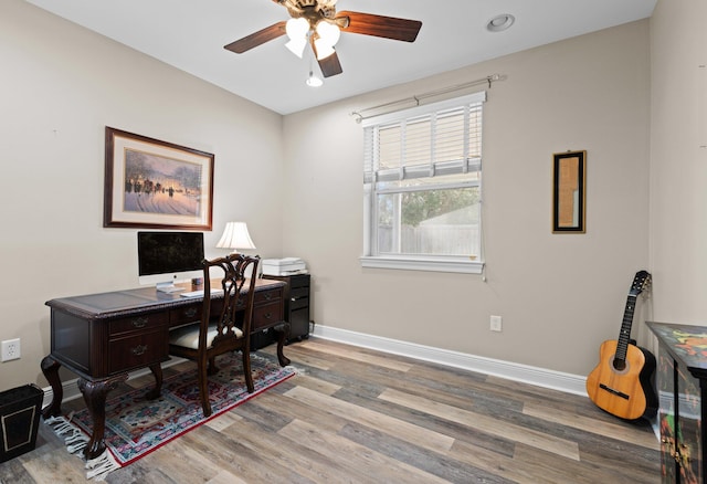 office featuring ceiling fan and wood-type flooring