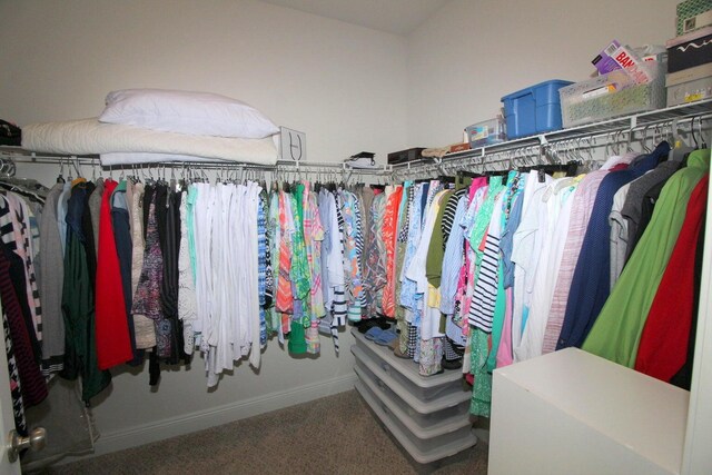 spacious closet featuring carpet floors