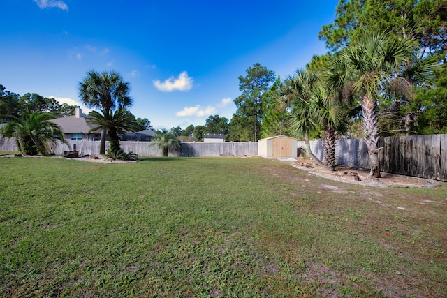 view of yard with a shed