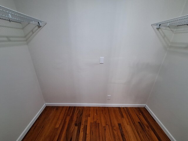 spacious closet with wood-type flooring