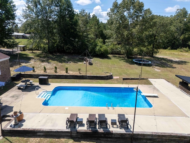 outdoor pool with a trampoline, a diving board, a lawn, and a patio