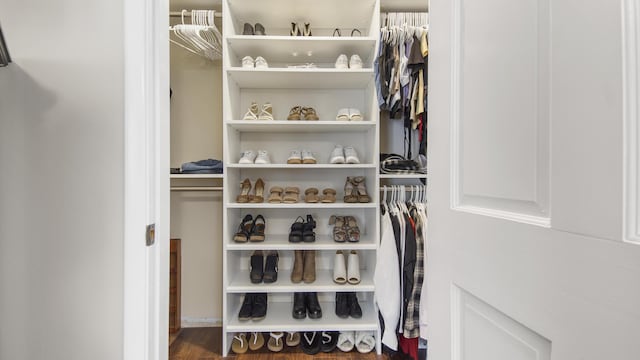 view of walk in closet