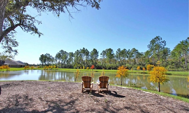 property view of water