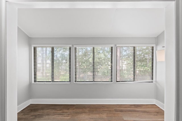 spare room with plenty of natural light and wood-type flooring