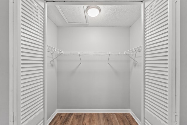 walk in closet with wood-type flooring