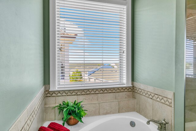 bathroom featuring a healthy amount of sunlight and a washtub