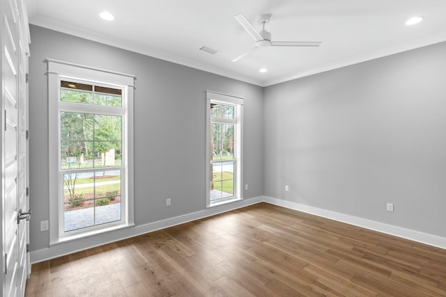 spare room featuring plenty of natural light, ceiling fan, and ornamental molding