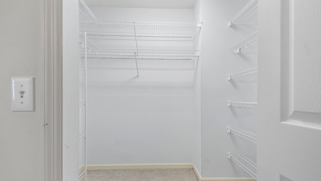 view of walk in closet