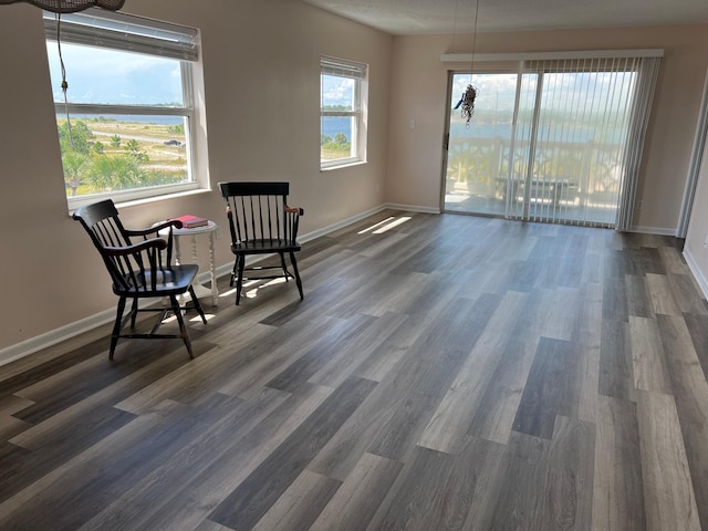 sitting room with baseboards and wood finished floors