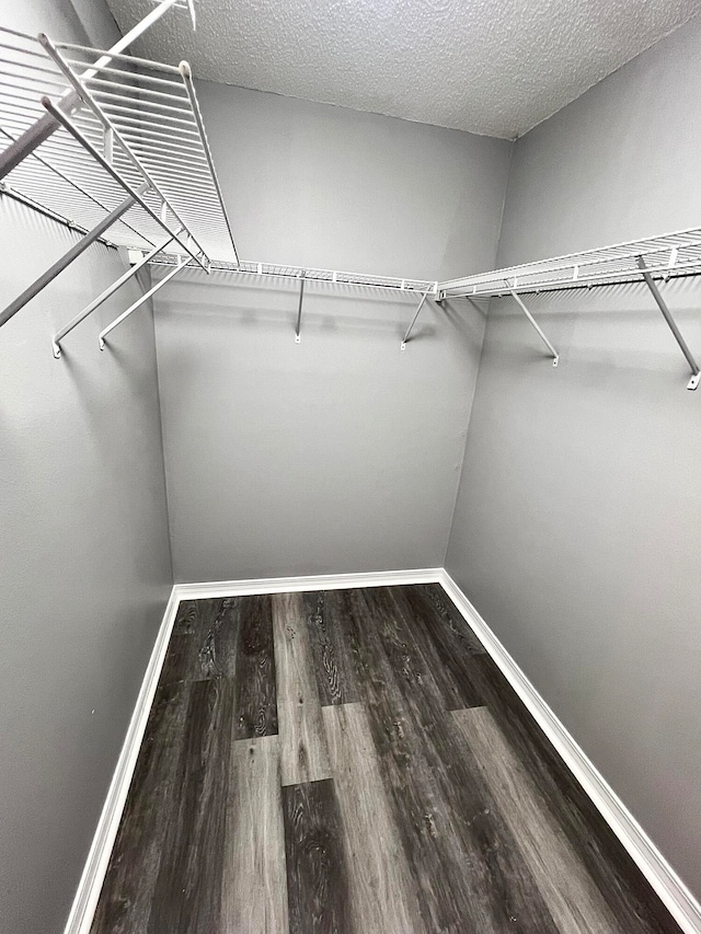 walk in closet featuring hardwood / wood-style floors