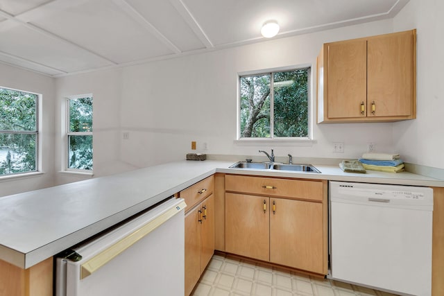 664 Woodland Bayou Dr, Santa Rosa Beach, FL 32459 - kitchen with dishwasher, plenty of natural light, and a sink