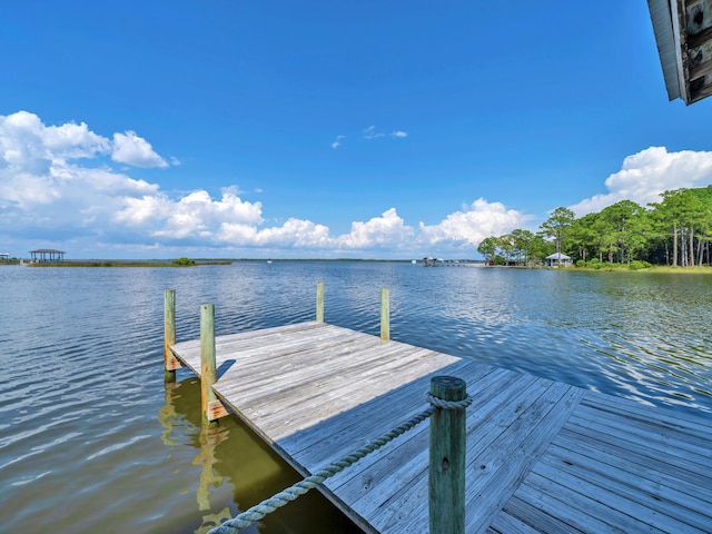 dock area featuring a water view