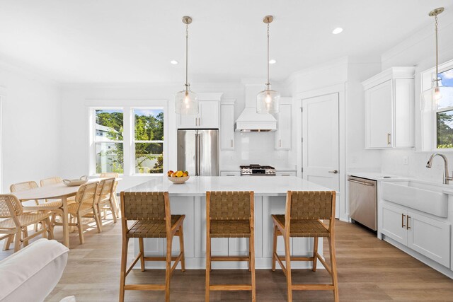 kitchen with plenty of natural light, custom range hood, sink, and appliances with stainless steel finishes